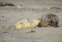 Eine sandige Angelegenheit…