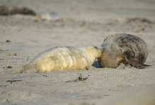 Eine sandige Angelegenheit…