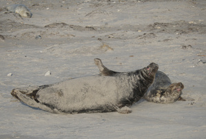 Na, wie wäre es mit uns?