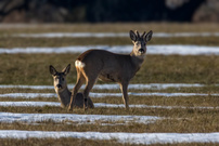 ... nach dem Tauwetter ...