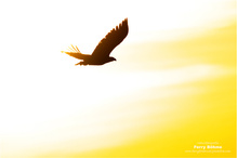 Silhouette des Königs