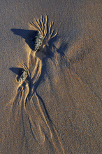 " Schmuckstück  "...,