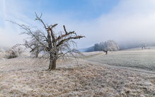 Kalter Gruß aus der neuen Heimat