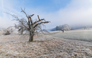 Kalter Gruß aus der neuen Heimat