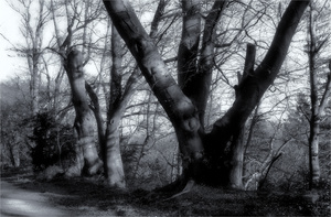 Heute, am Isarhochuferweg ...