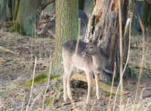 Da war es noch wärmer