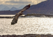 Norwegen bietet immer wieder tolle Fotomotive