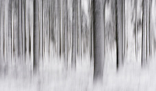 In Reih und Glied, oder so.