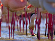 Einmal eine andere Perspektive