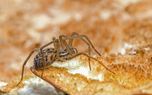 Ich bin nicht beliebt