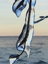 Hoch über der Ostsee