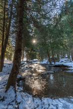 In der Ruhe liegt die Kraft