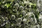 Eis Bubbles