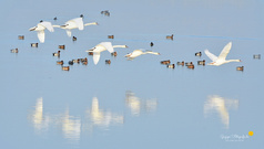 Ein Moment zum Träumen ...