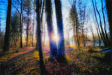 Zur Zeit sieht es so aus ...