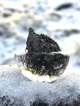 Eine Bucheckerhülle