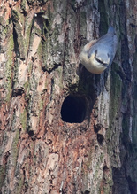 Wohnungsvorbereitung
