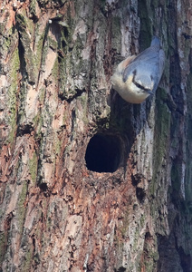 Wohnungsvorbereitung