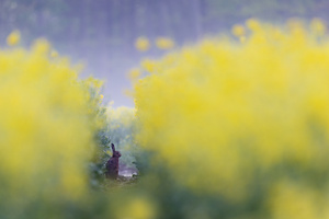 nach dem Regenschauer