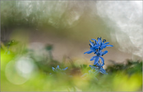 "Nicht mehr lange..."