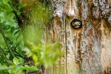 Ist die Luft rein???