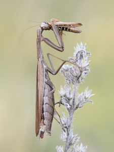 Was oben rein kommt muss unten wieder  raus...