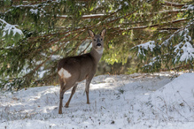 Noch mal ein Blick in die Kamera