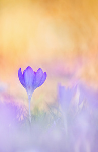 Noch ist es hier nicht so weit