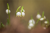 Haben wir denn schon März?