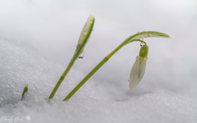 Der Winter kehrt noch mal zurück