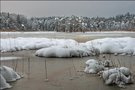 Winter am Ostersee