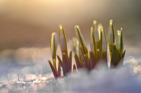 Auf die Plätze, fertig......!