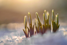 Auf die Plätze, fertig......!