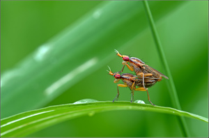 -Frühlingsgefühle-