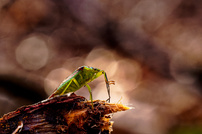 Ein warmer Wintertag.