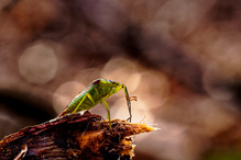 Ein warmer Wintertag.