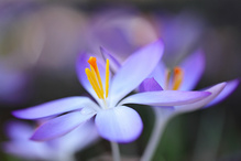 der Frühling ist da!