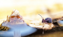 Da soll ich drüber.