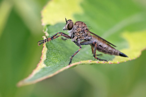 Was fange ich wohl heute...