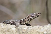 ich bin wieder hier...