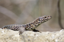 ich bin wieder hier...