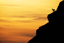 der schlafende Riese