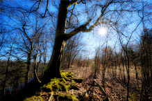 Am Isarabhang ...  (2)