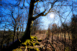 Am Isarabhang ...  (2)