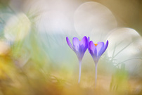 Der Frühling ist spürbar