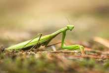 Sie hatte mich voll im Blick