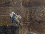 Der entscheidende Moment