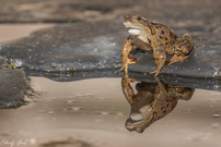 Zwischen Eis und den ersten Sonnenstrahlen.