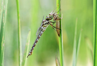 Ein neuer Lebensabschnitt...