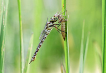 Ein neuer Lebensabschnitt...